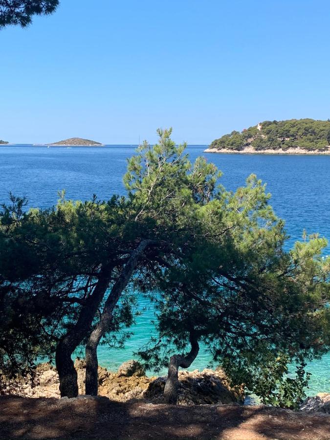 Inevig Rogoznica (Sibenik-Knin)